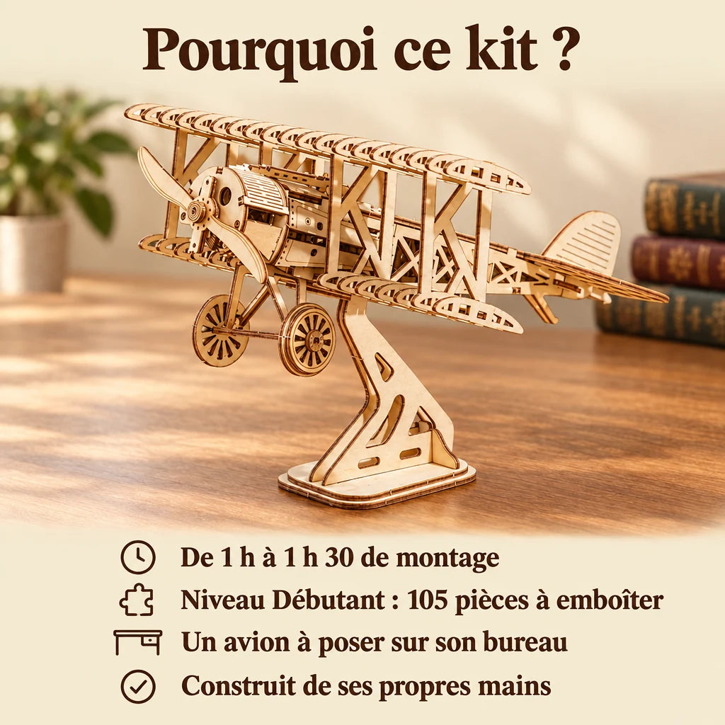 Why choose the NOOKO Biplane model kit