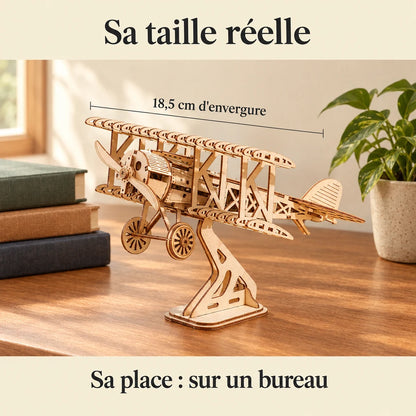 The Biplane on a desk, 18.5 cm wingspan