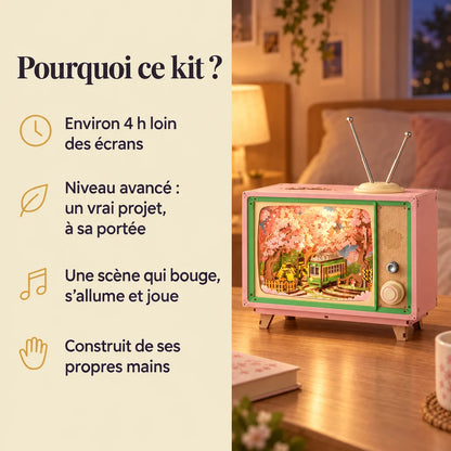 Why choose the NOOKO Sakura Music Box model kit