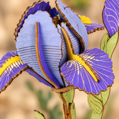 Detail macro du coeur de la fleur et de la superposition des petales