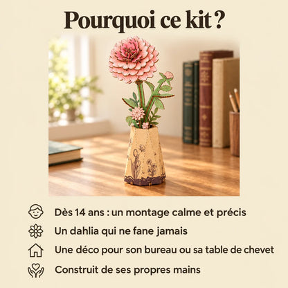 Why choose the NOOKO Dahlia wooden flower kit