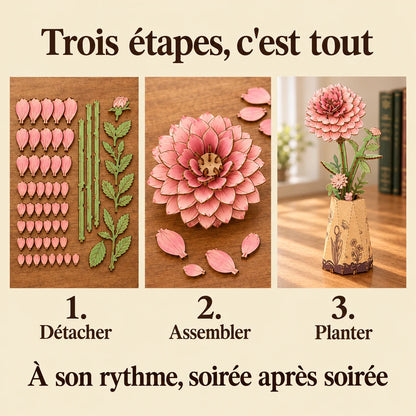 The three build steps of the Dahlia