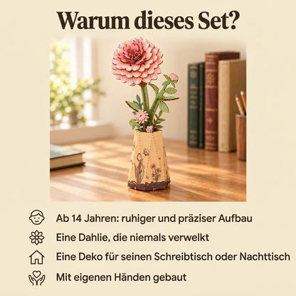 Warum Holzblume Dahlie: Bauzeit und Niveau
