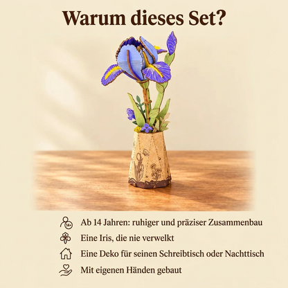Warum Holzblume Iris: Bauzeit und Niveau