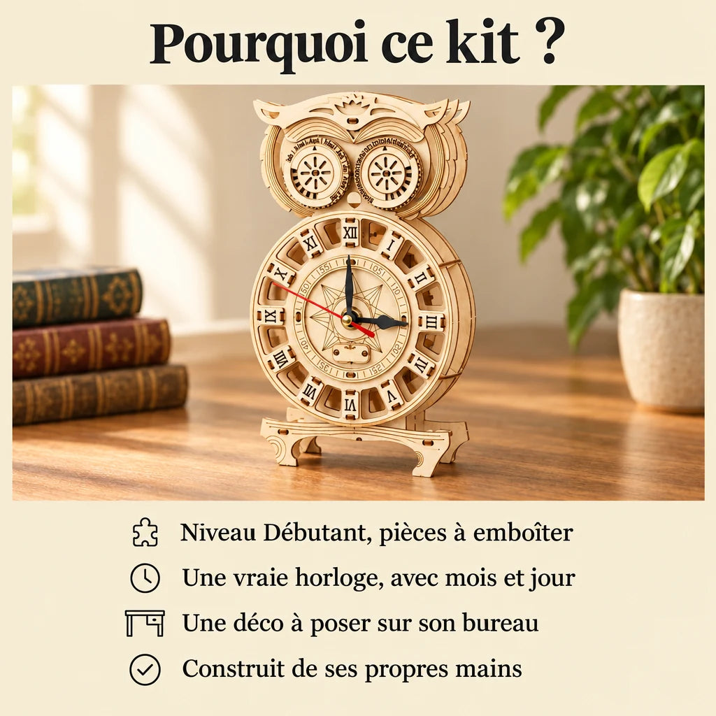Why choose the NOOKO Owl Pendulum Clock model kit
