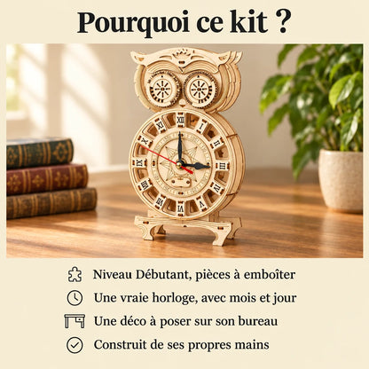 Why choose the NOOKO Owl Pendulum Clock model kit