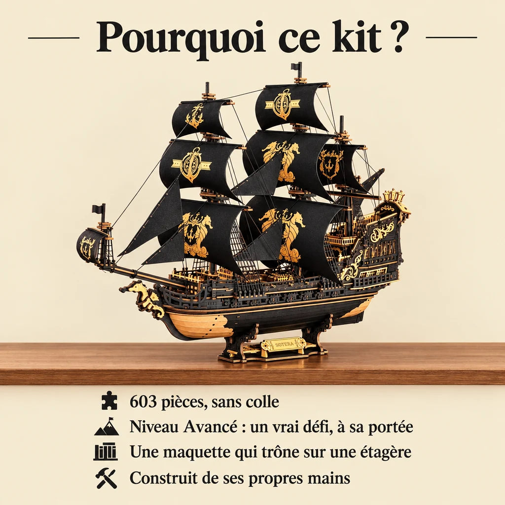 Why choose the NOOKO Seahorse Three-Master model kit