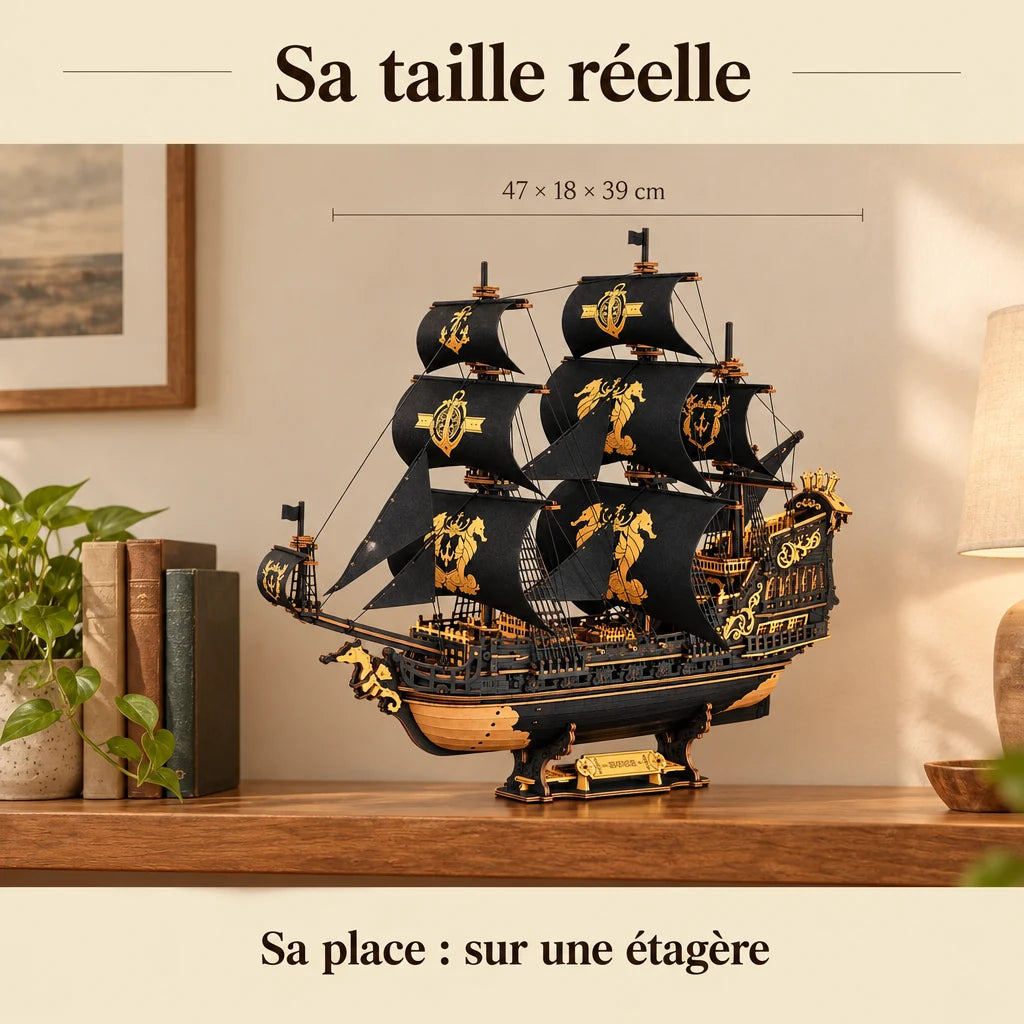 The Seahorse Three-Master on a shelf, dimensions 47 × 18 × 39 cm