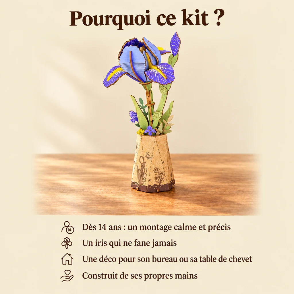 Pourquoi choisir la fleur L'Iris NOOKO