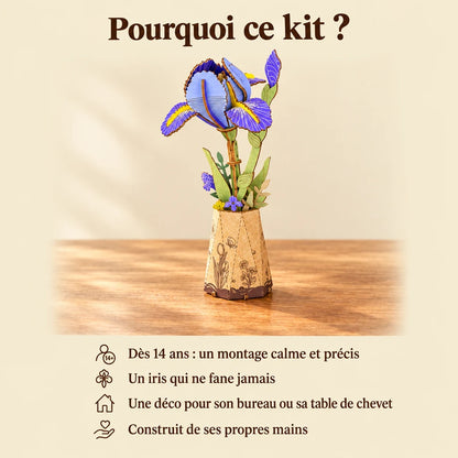 Pourquoi choisir la fleur L'Iris NOOKO