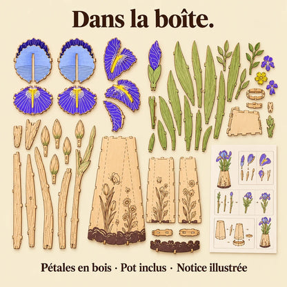 Contenu de la boîte de L'Iris
