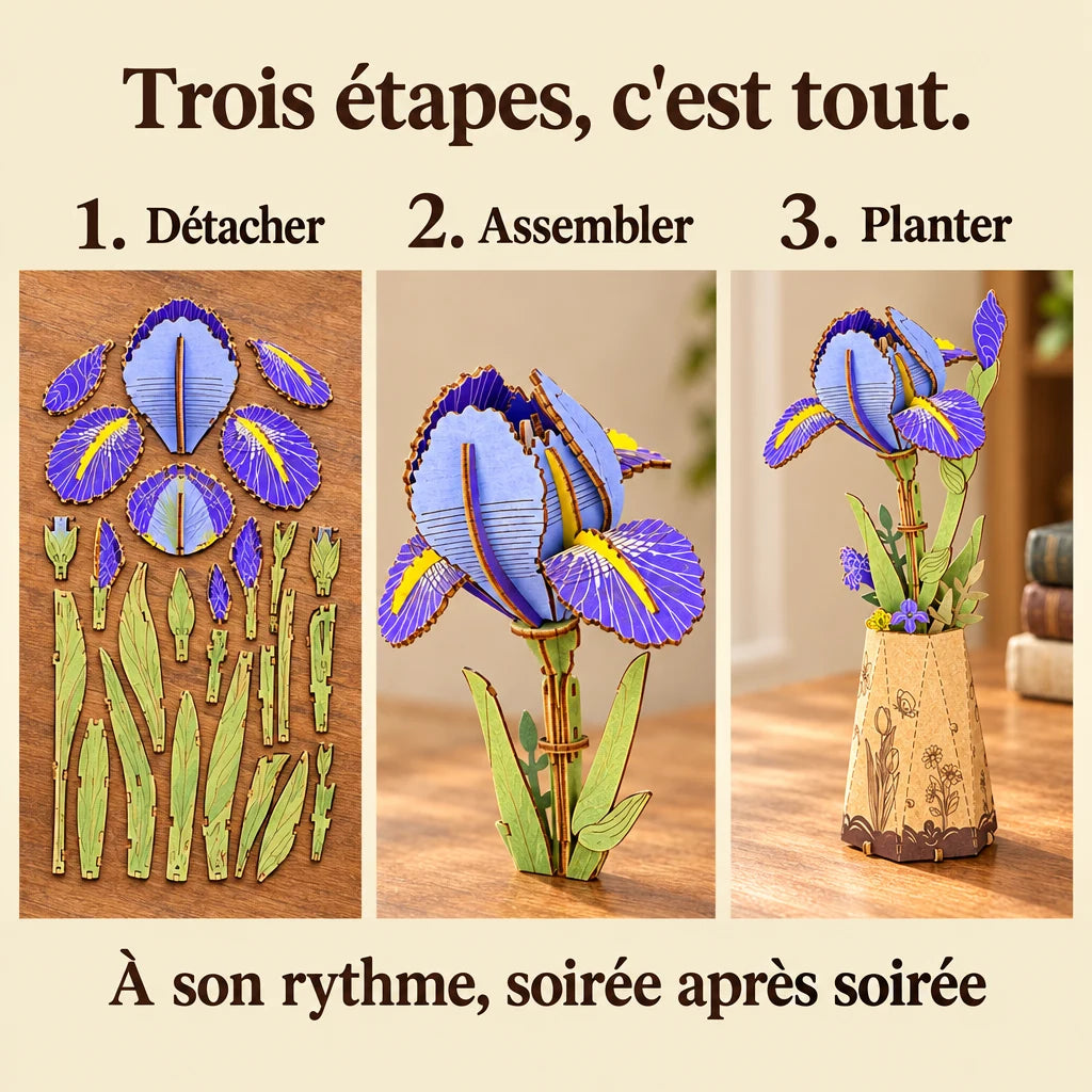 Les trois étapes de montage de L'Iris