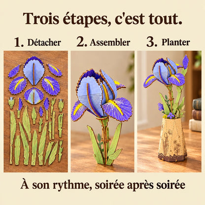Les trois étapes de montage de L'Iris