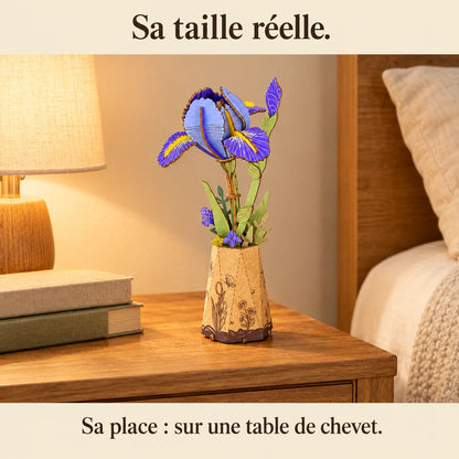 L'Iris posé sur une table de chevet