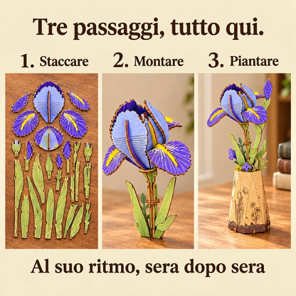 Le fasi di montaggio di L'Iris
