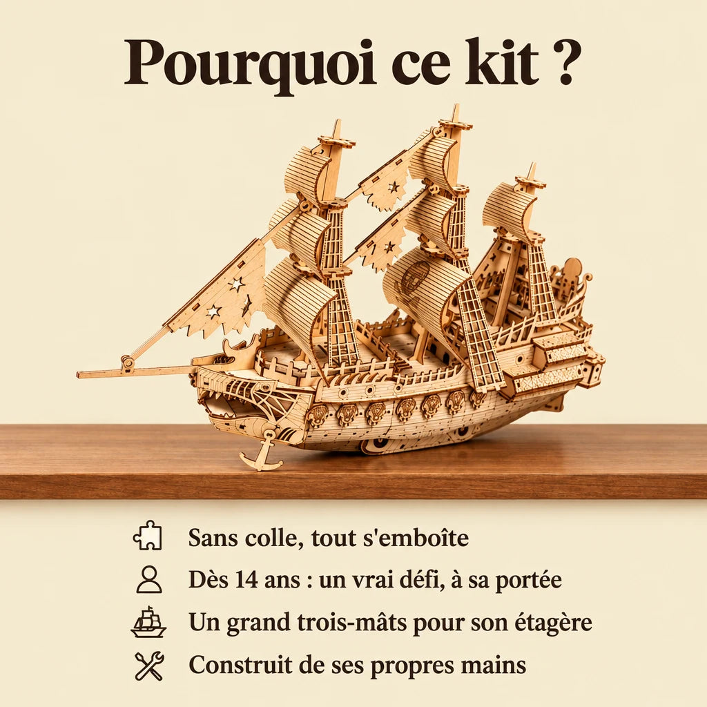 Why choose the NOOKO Dutch Ship model kit