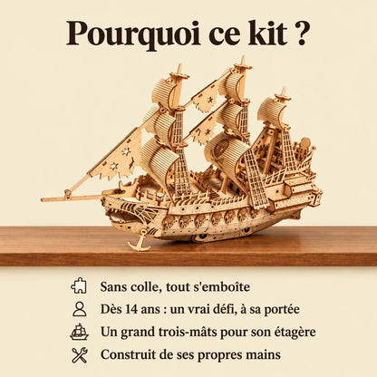 Why choose the NOOKO Dutch Ship model kit