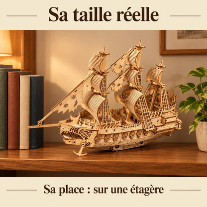 The Dutch Ship on a shelf