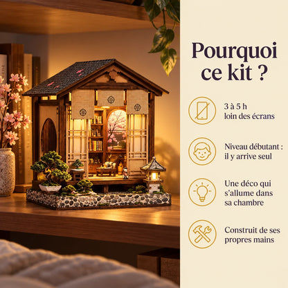 Pourquoi choisir le kit Pavillon du Bonsaï NOOKO