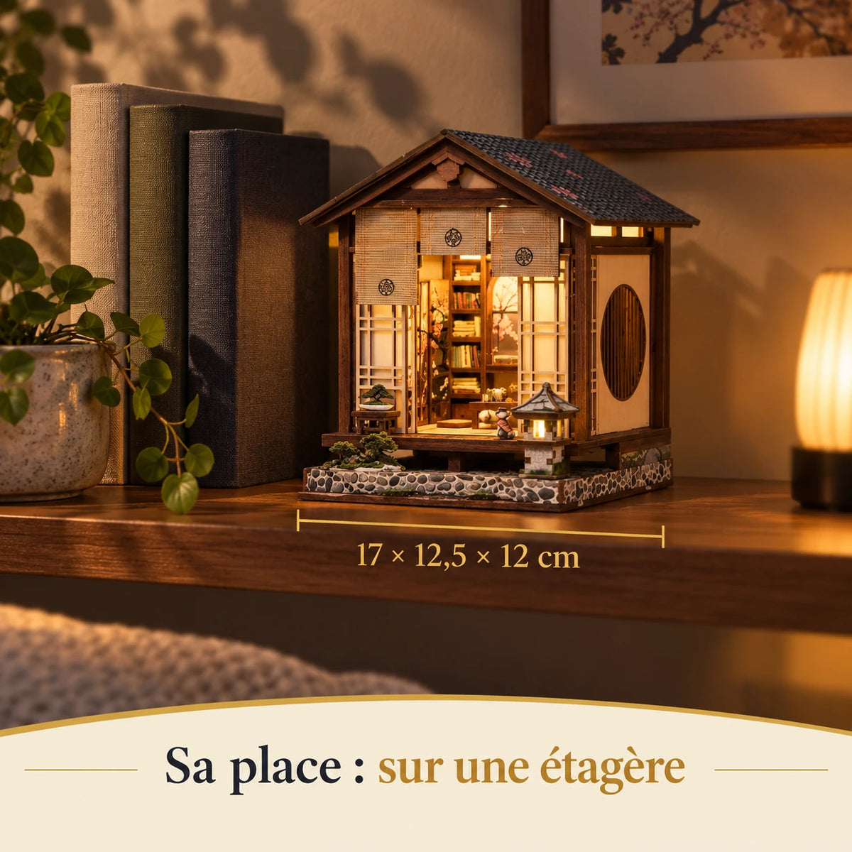 Dimensions réelles du Pavillon du Bonsaï monté