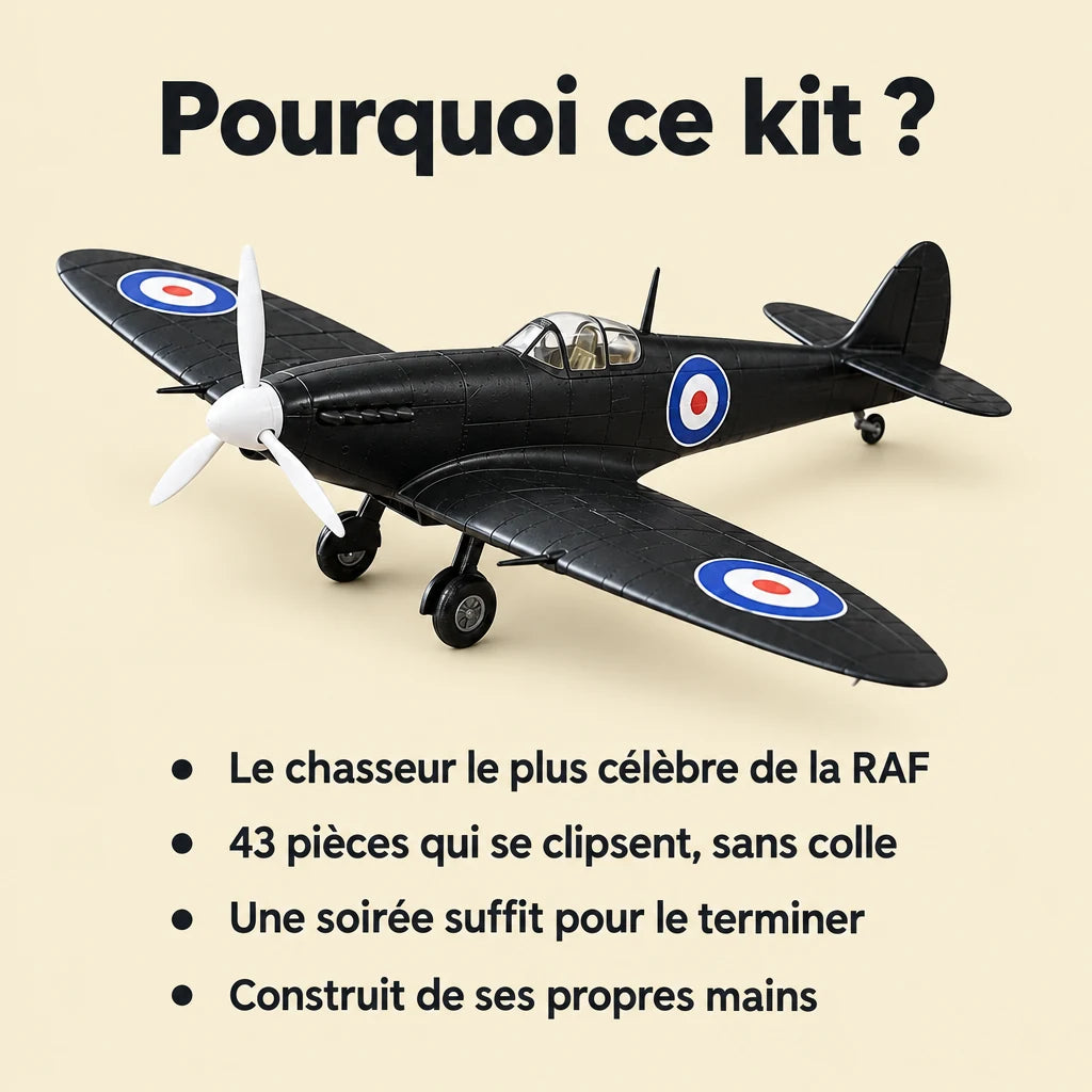 Why choose the NOOKO Black Spitfire model kit