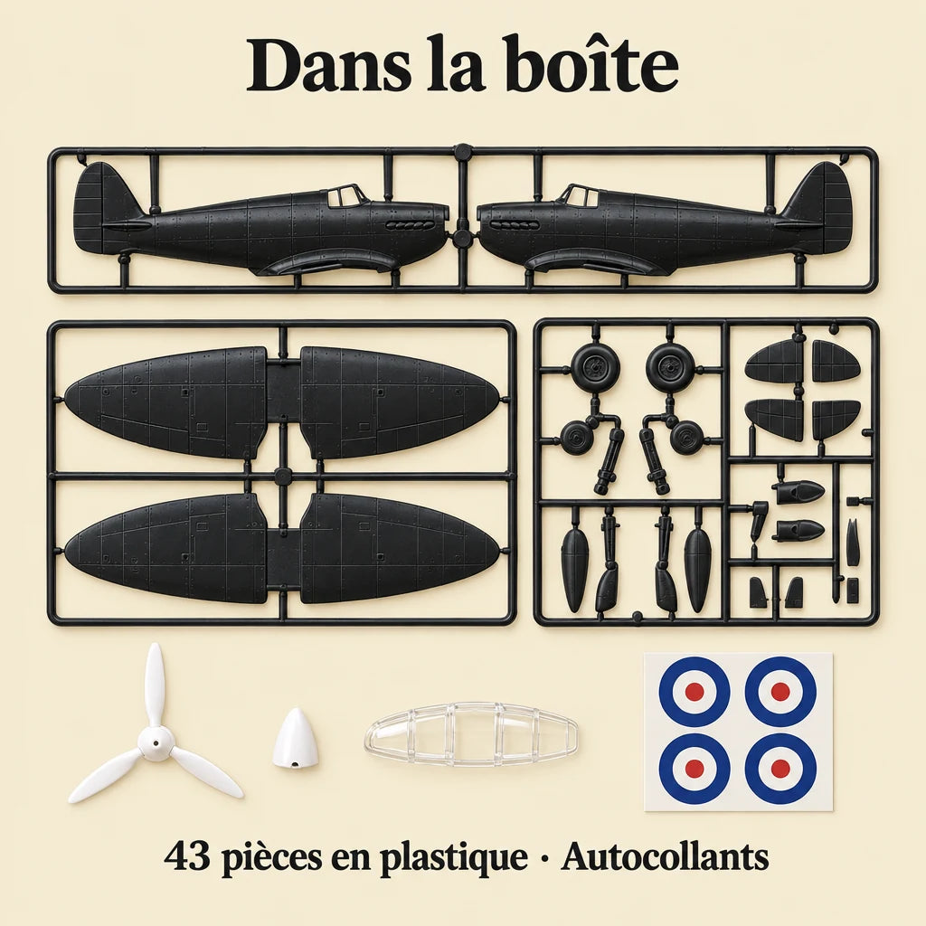 What's in the Black Spitfire kit box