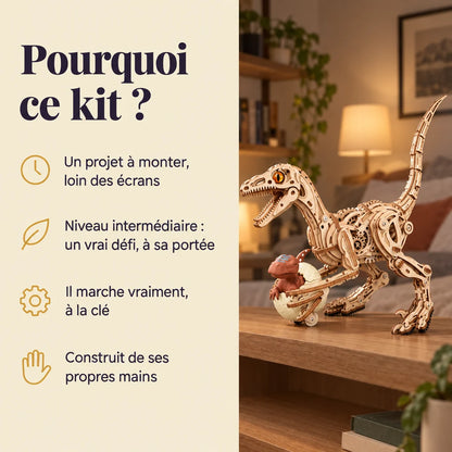 Why choose the NOOKO Walking Velociraptor 3D puzzle
