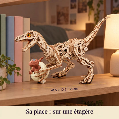 The Walking Velociraptor on a shelf, dimensions 41.5 × 10.5 × 21 cm